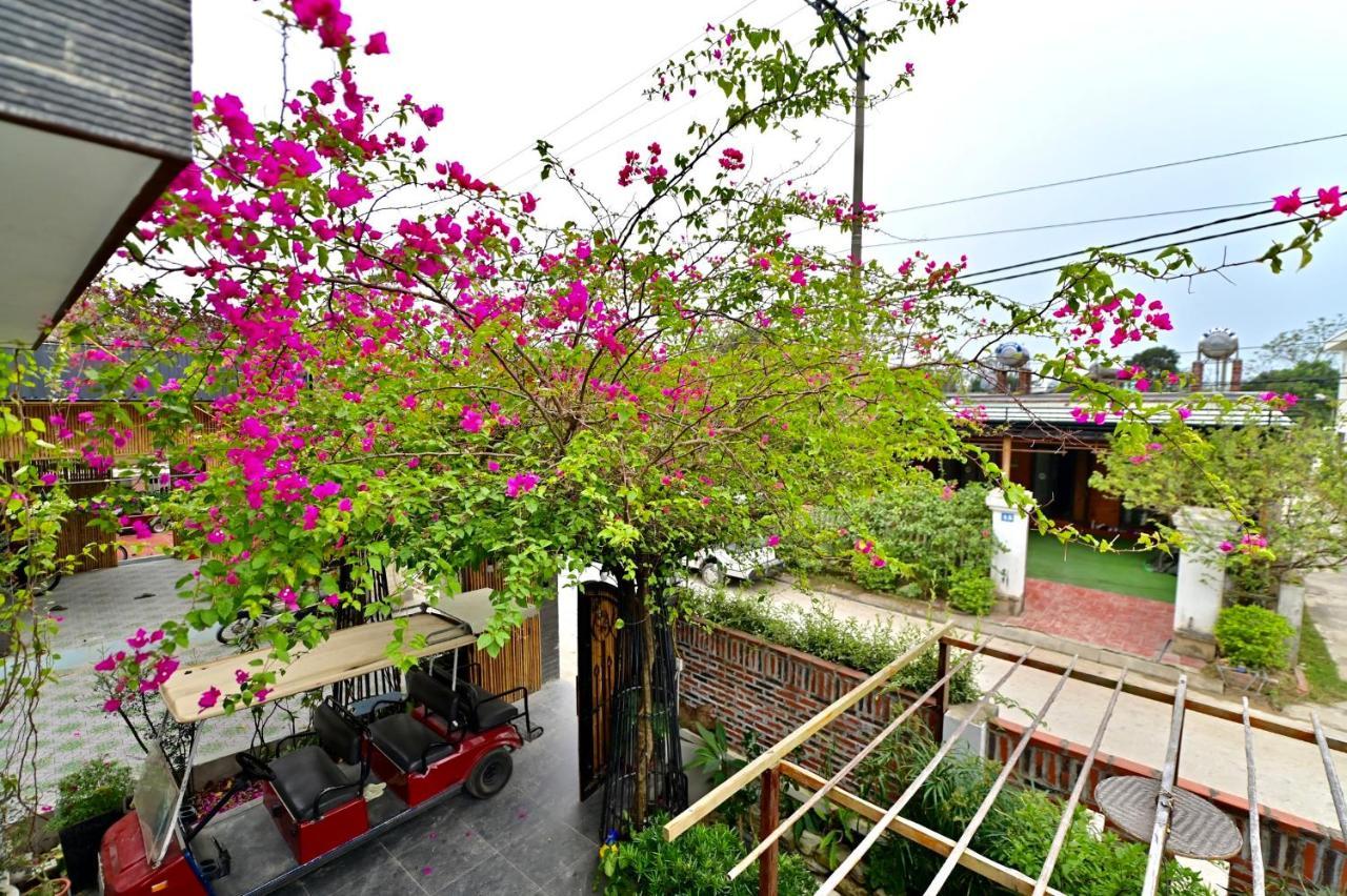 Coto Center Homestay Dao Co To Luaran gambar