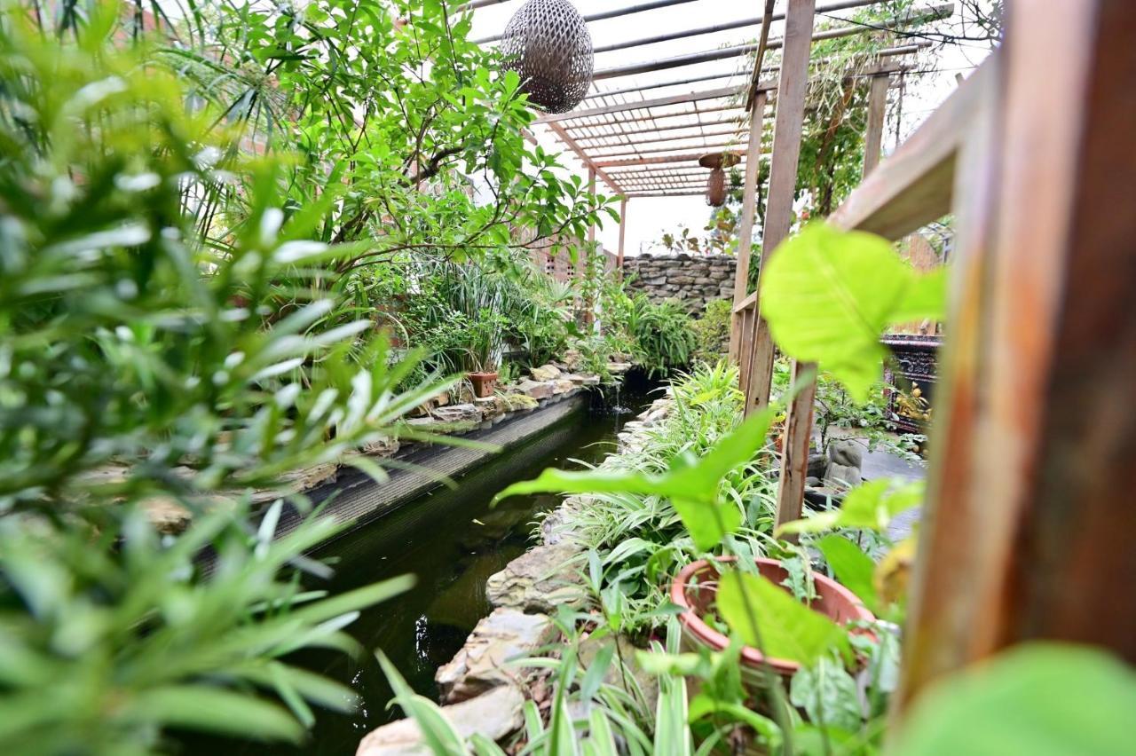 Coto Center Homestay Dao Co To Luaran gambar
